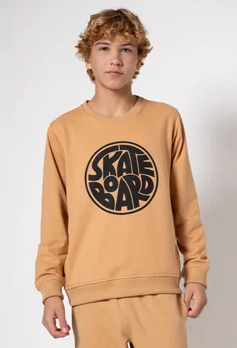 Blusa Moletinho Skateboard BD