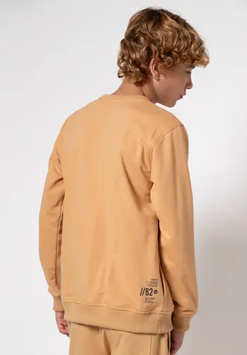 Blusa Moletinho Skateboard BD