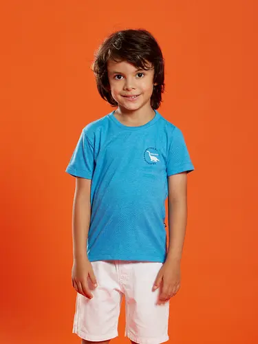 Camiseta Creative Dinossauro Infantil