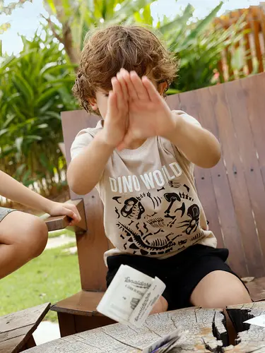 Conjunto Infantil Camiseta Moletinho Dino World