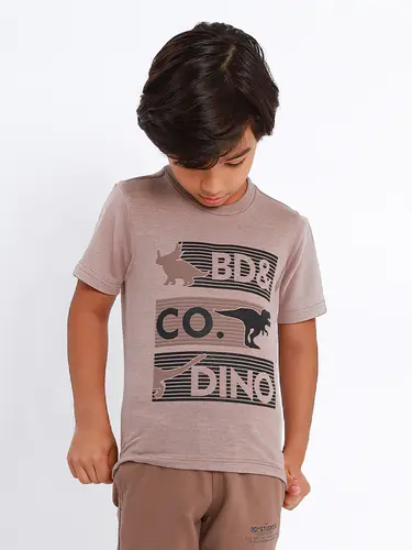 Camiseta Infantil Dino