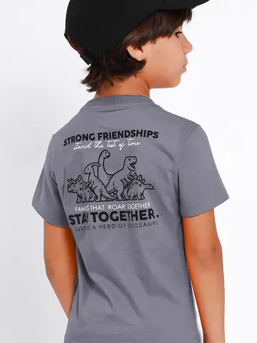 Camiseta Infantil Friendship