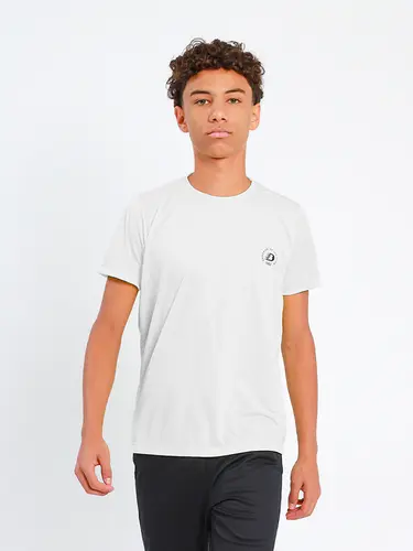 Camiseta Masculina Dry Fit PES Basic