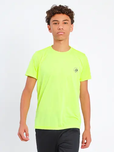 Camiseta Masculina Dry Fit PES Basic
